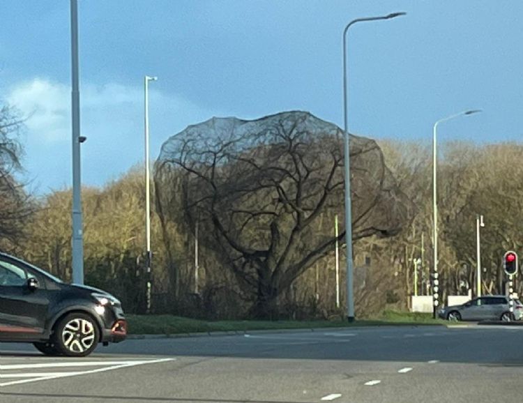 Wat is hier aan de hand?