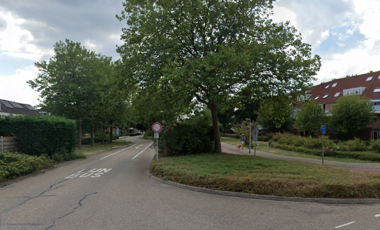 De busbaan moet een autoroute worden. Voor de aanleg daarvan worden tientallen bomen gekapt