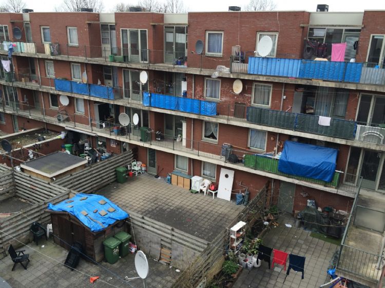 De versteende Schilderswijk kan wel wat meer schaduw van bomen gebruiken. Foto Vincent van Zeijst, 2015