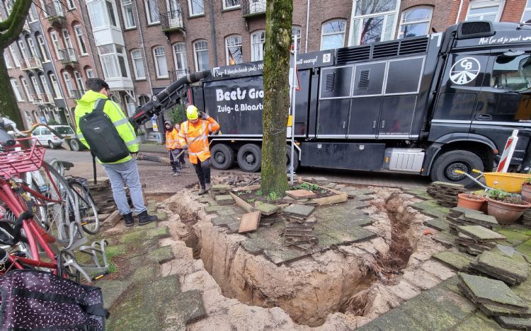 Bij het graven van proefsleuven kan gemakkelijk wortelschade ontstaan (foto: Willem de Feijter)