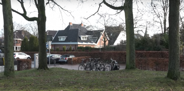 Beeld uit de nieuwsvideo van Oog over de voorgenomen kap van de bomen