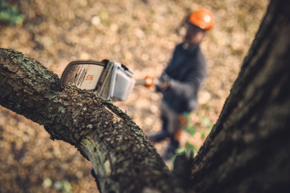 Met de accuhoogsnoeier Sthil HTA 160 kunnen professionele boomverzorgers hun klussen veilig vanaf de grond uitvoeren, ook bij dikkere takken