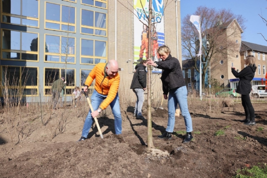 De wethouder Jeroen Verwoort plant de eerste boom. 