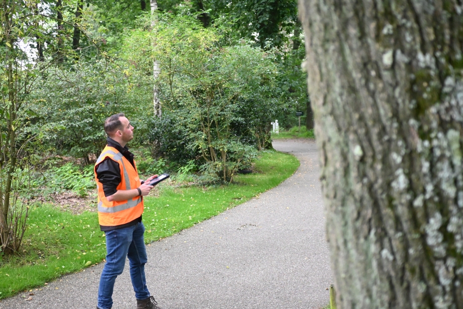 Jannes Hoppenbrouwer geeft bij IPC Groene Ruimte diverse boomveiligheidstrainingen