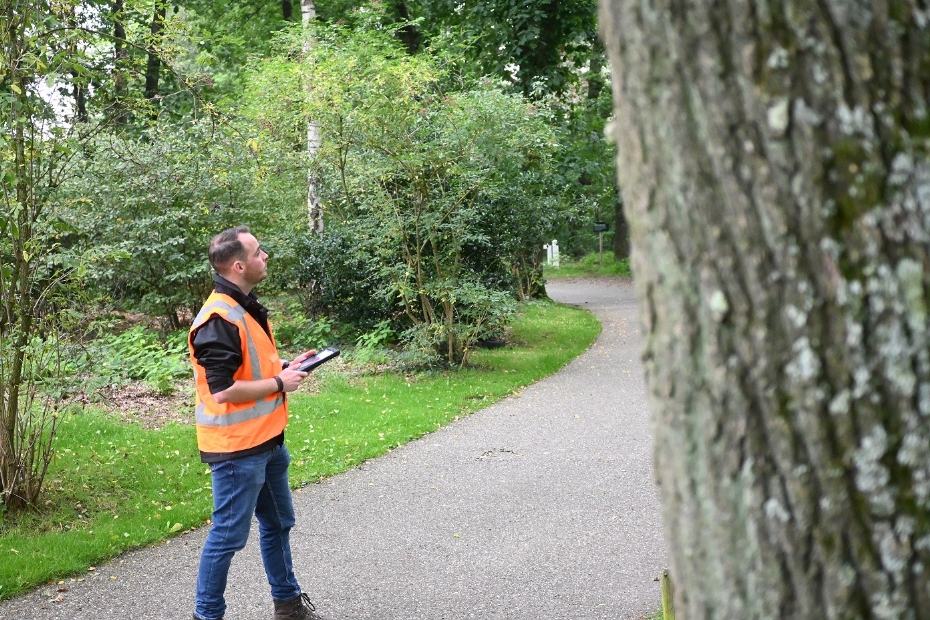 Jannes Hoppenbrouwer aan het werk als Data Inspecteur Bomen