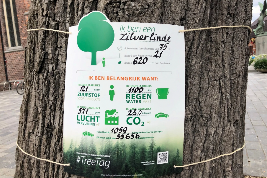 TreeTag op een zilverlinde in het Belgische Lommel, foto: Platform i-Tree Nederland