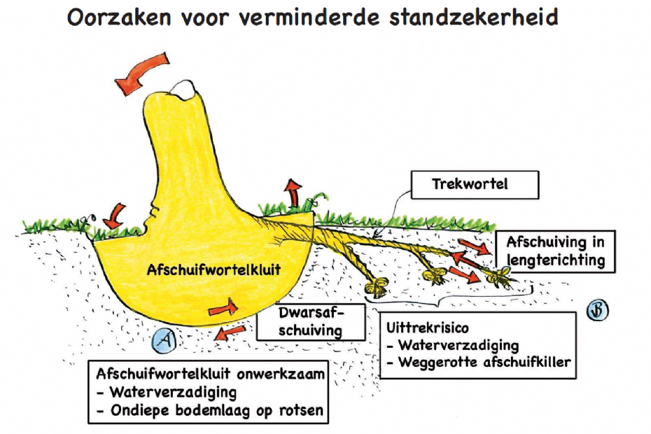 Een illustratie uit de veldgids