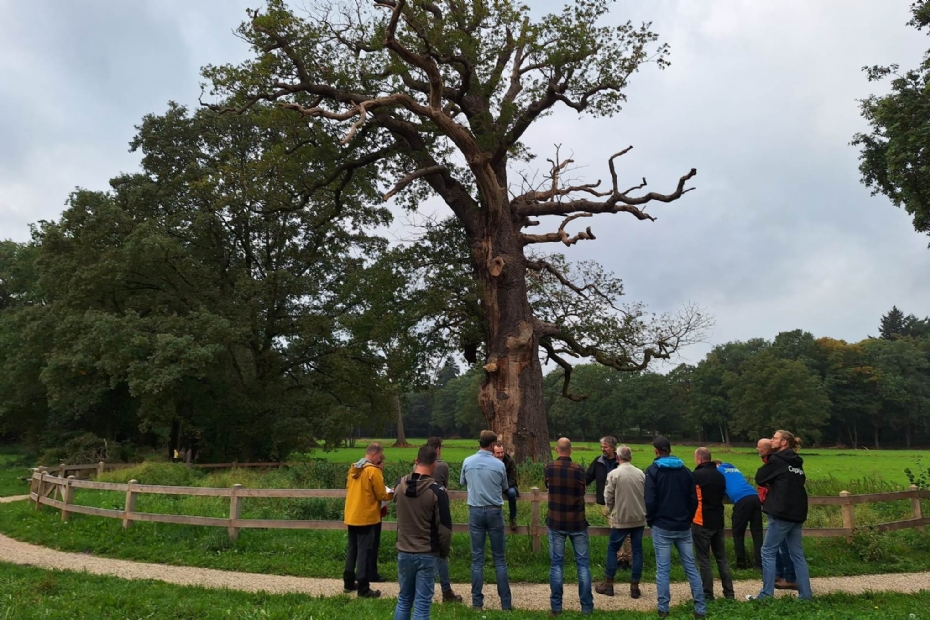 Deelnemers aan de pilot van het VETcert curriculum. Alle foto's: Praktijk Centrum Bomen