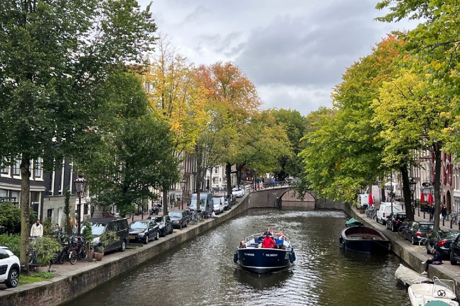 Stadsgroen langs de Amsterdamse grachten (foto Intergemeentelijke Studiegroep Bomen)