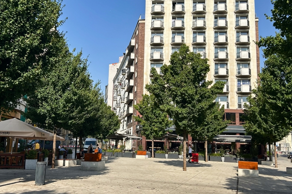 Op het plein Plac Pięciu Rogów in Warschau heeft de veldesdoorn zich fantastisch ontwikkeld