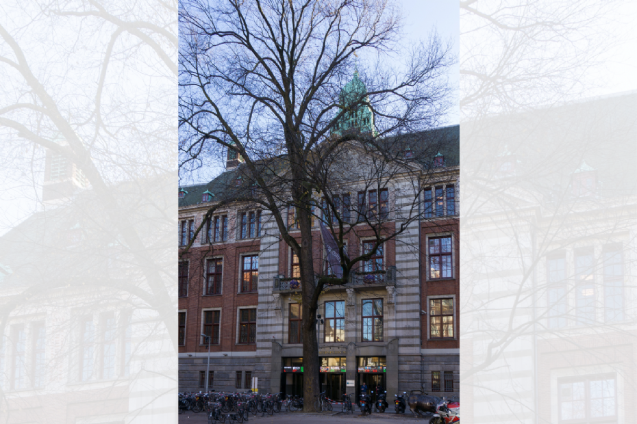 De iep die tot 2017 voor Beursplein 5 stond. Foto: stichting Financieel Erfgoed