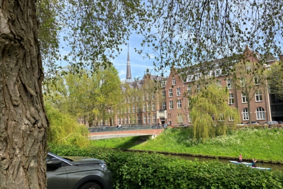 Bomen als sleutel bij klimaatadaptatie (Beeld: Tree-o-Logic)