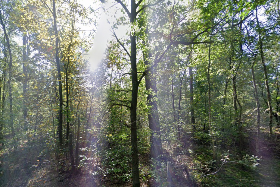 Zoomland, beeld: Google streetview