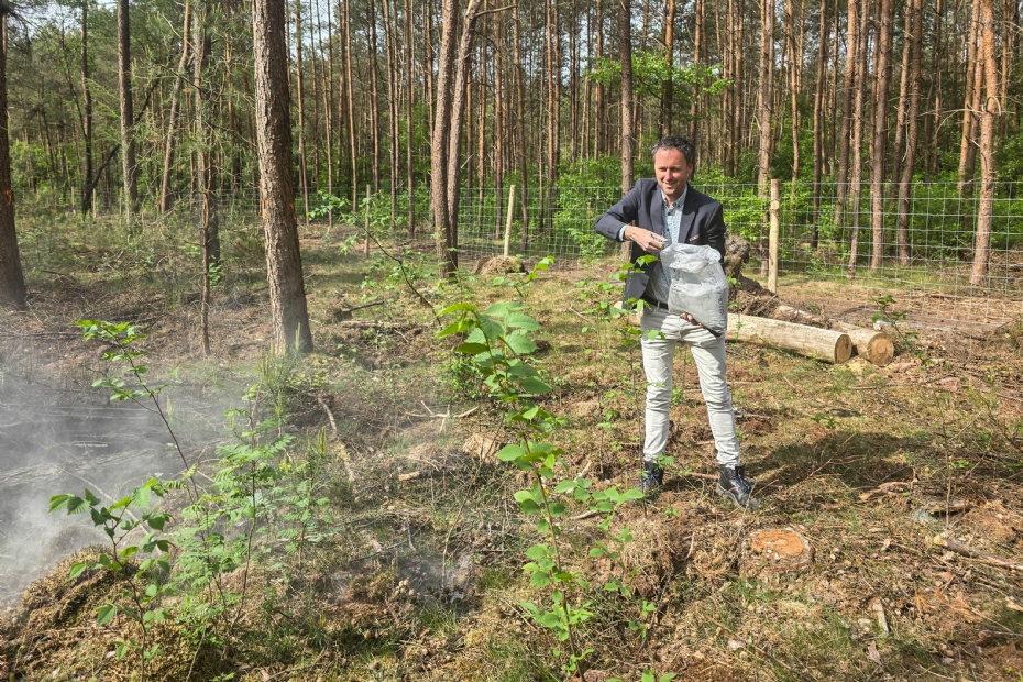 Wethouder Cornelissen die steenmeel strooit over de laatste aanplant. Foto: Gemeente Putten