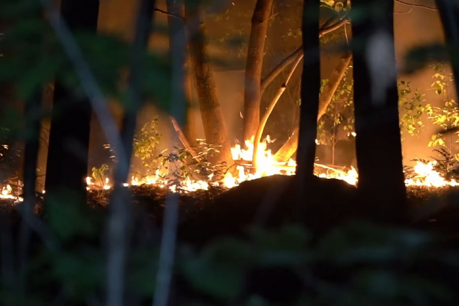 Een recente bosbrand aan de Grootstalseweg in Malden. De brand verspreidde zich erg snel, waardoor bij de eerste melding direct werd opgeschaald naar de categorie 'uitbreiding hoog' (Beeld ter illustratie: still uit een video van streekomroep RN7)