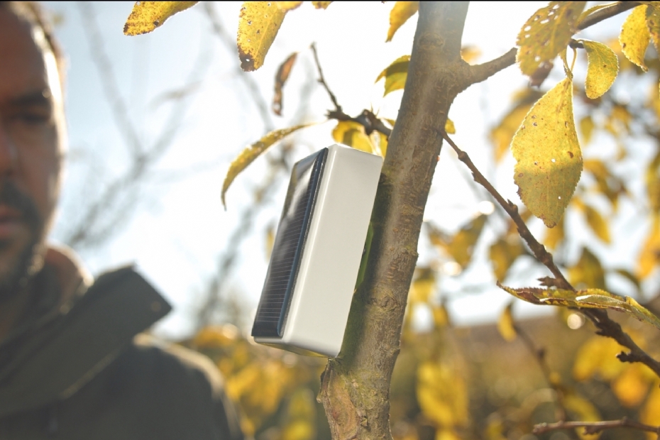 Treesense gemonteerd in de kroon