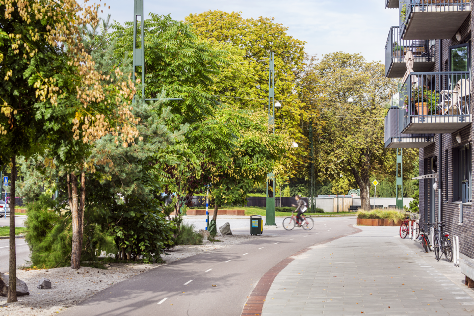 Arboretumallé (Photo by Apelöga)