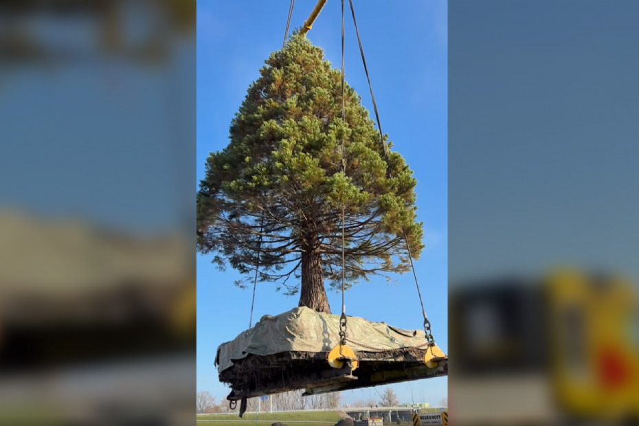 Beeld: Dirk Doornenbal