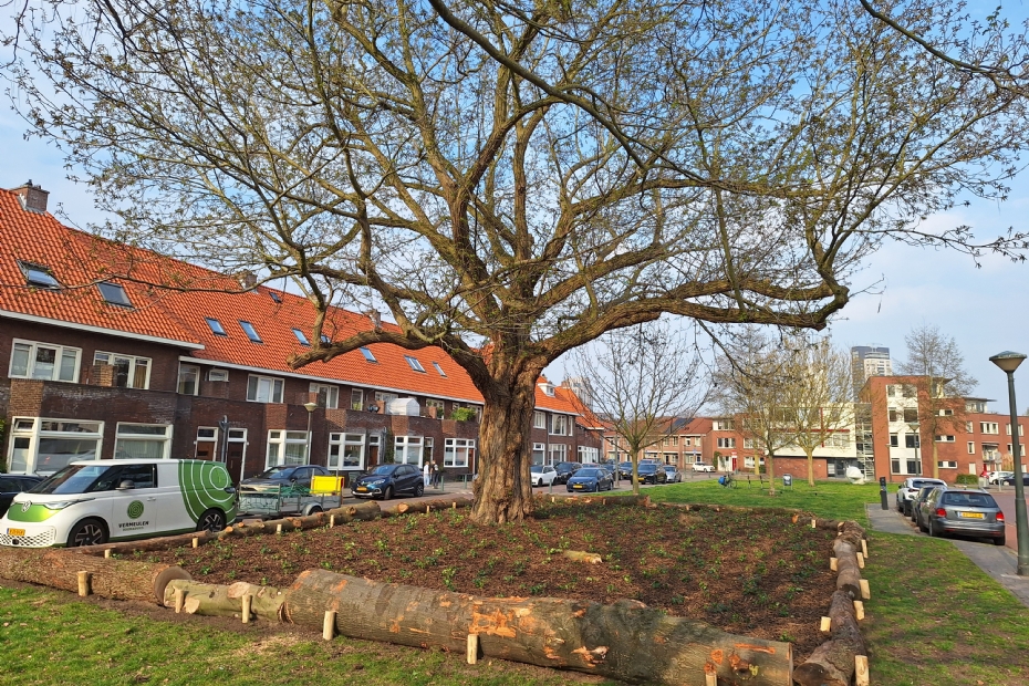 Frederika van Pruisenweg