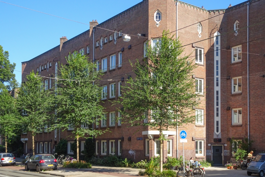 <i>Ulmus</i> 'Fiorente', Amsterdam. Marko Mouwen: 'Wat ik vooral waardeer aan iepen, is hun uitzonderlijke herstelvermogen.'