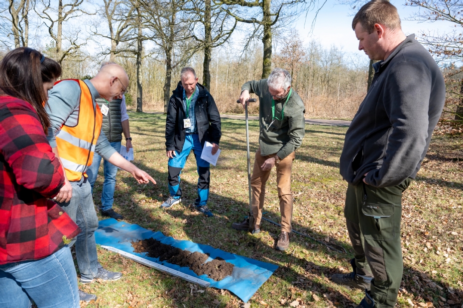 De Nationale Boomverzorgingsdag 2026 bij IPC Groene Ruimte belicht twee kanten. Sprong: 'Enerzijds kijken we hoe de boom een sterkere positie kan krijgen buiten het vakgebied: in gesprekken met beleidsmakers, ontwerpers en opdrachtgevers. Anderzijds duiken we de dagelijkse praktijk in: in beheer, snoei en groeiplaatsverbetering.'