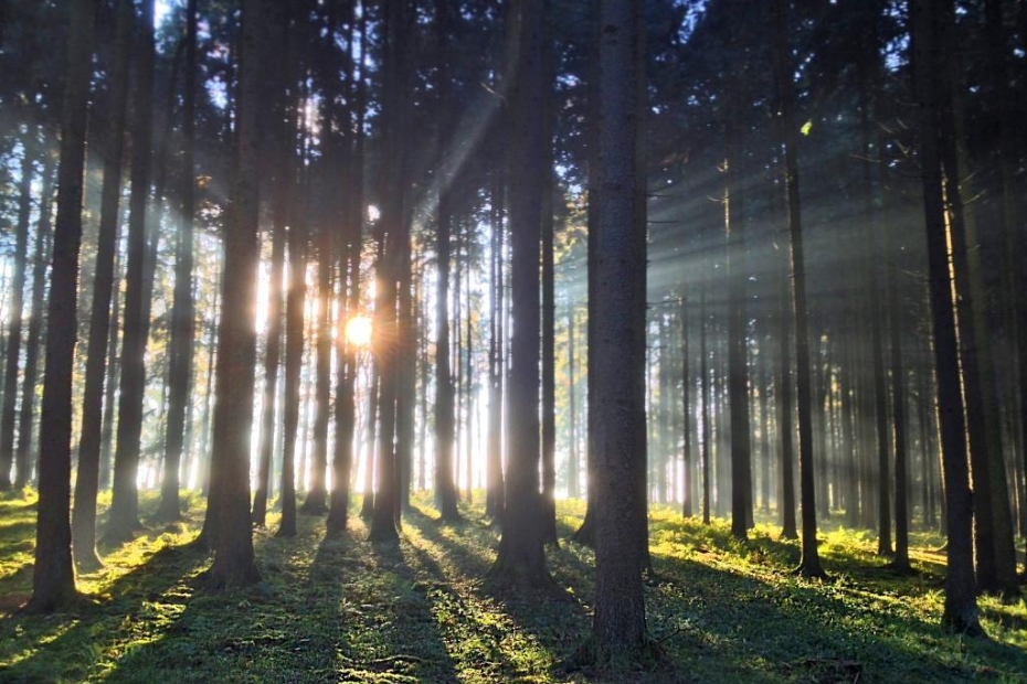 Foto ter illustratie