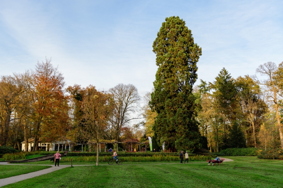 De winnaar van vorig jaar. Foto: Koos Mavrakis