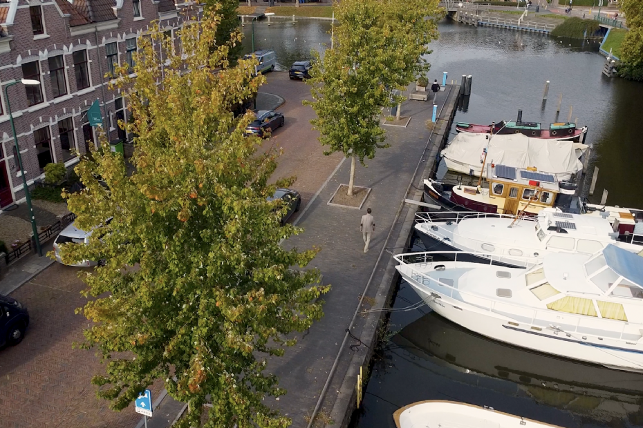 Aangeplante bomen in plantseizoen 2020-2021