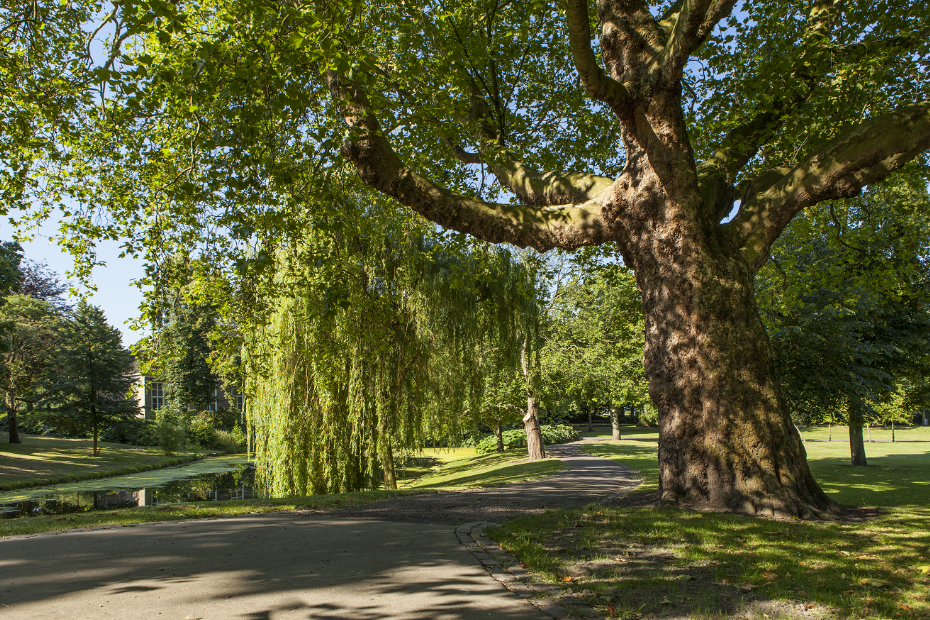 Foto ter illustratie