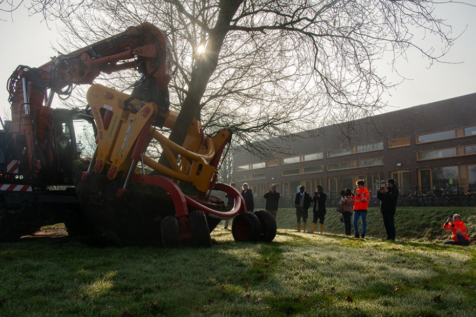Uitvoering planten van de bomen in Ureterp