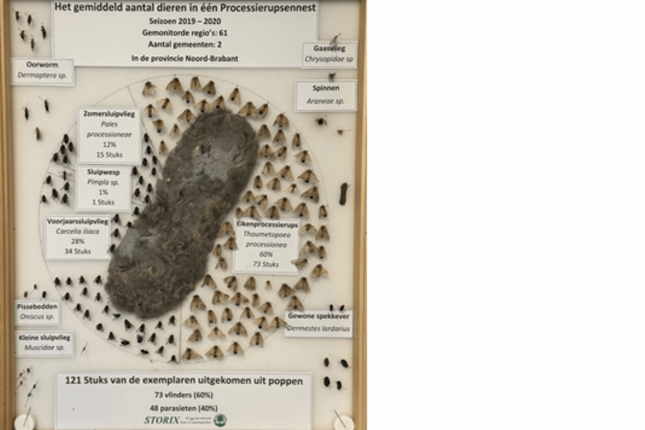 Taartdiagram, dieren in een EPR nest Seizoen 2019-2020.